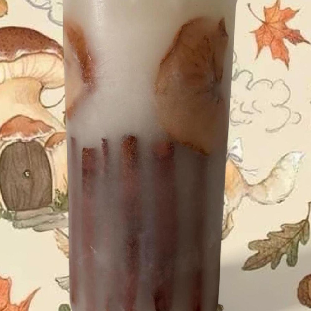 Brand new, never lit, beautiful cinnamon dried fruit candle